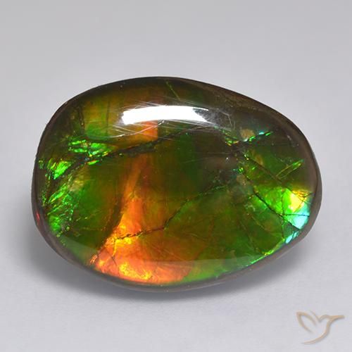 14.86ct Natural Multicolor Ammolite, Fancy, Opaque