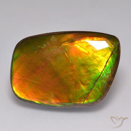 21.59ct Natural Multicolor Ammolite, Fancy, Opaque