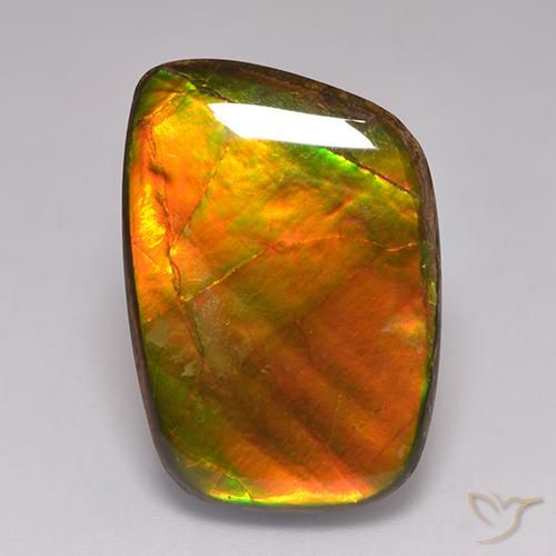 21.59 ct Multicolor Ammolite Stone, Natural Ammolite in Fancy Cabochon Shape for Sale