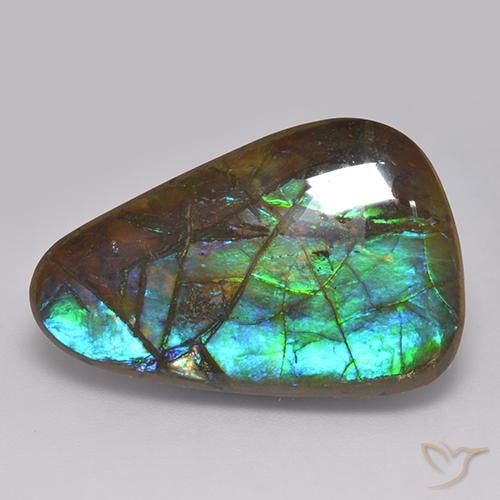 17.82ct Natural Multicolor Ammolite, Fancy, Opaque