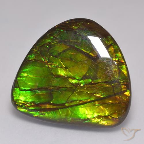 20.62 ct Multicolor Ammolite Stone, Natural Ammolite in Fancy Cabochon Shape for Sale