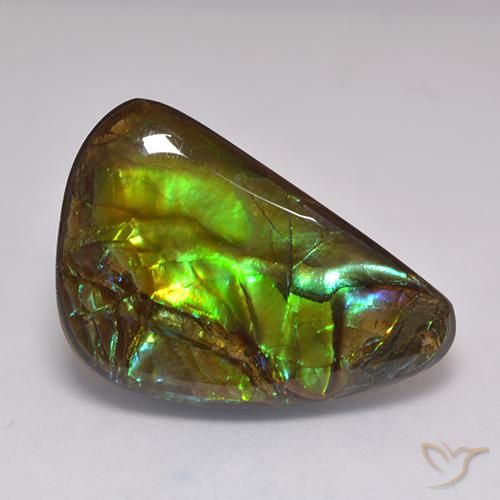 19.60ct Natural Multicolor Ammolite, Fancy, Opaque