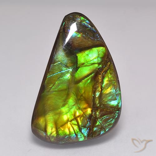 19.60 ct Multicolor Ammolite Stone, Natural Ammolite in Fancy Cabochon Shape for Sale