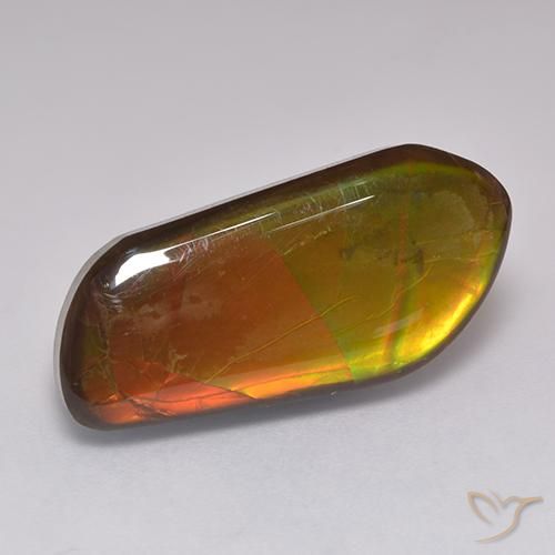 13.43 ct Multicolor Ammolite Stone, Natural Ammolite in Fancy Cabochon Shape for Sale