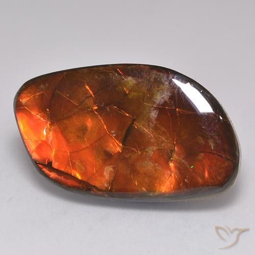20.30 ct Multicolor Ammolite Stone, Natural Ammolite in Fancy Cabochon Shape for Sale