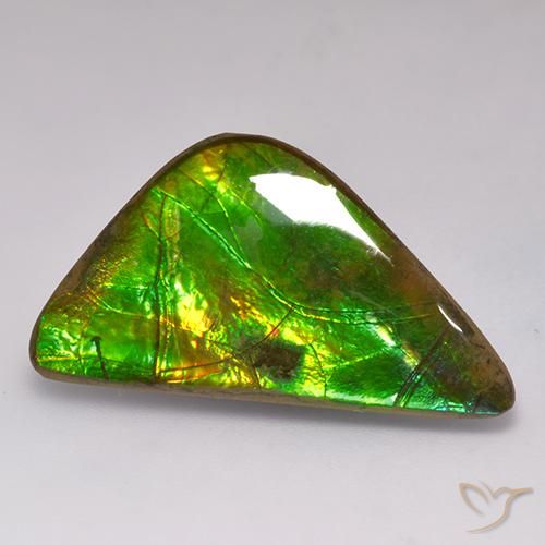 17.71ct Natural Multicolor Ammolite, Fancy, Opaque
