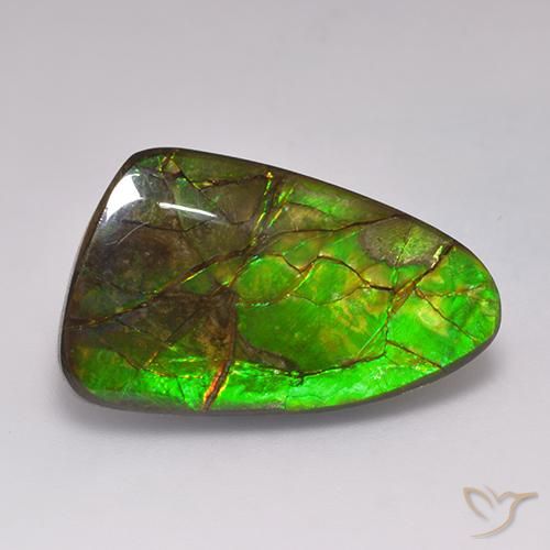 19.72ct Natural Multicolor Ammolite, Fancy, Opaque