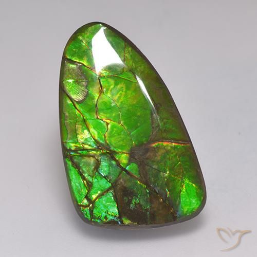 19.72 ct Multicolor Ammolite Stone, Natural Ammolite in Fancy Cabochon Shape for Sale