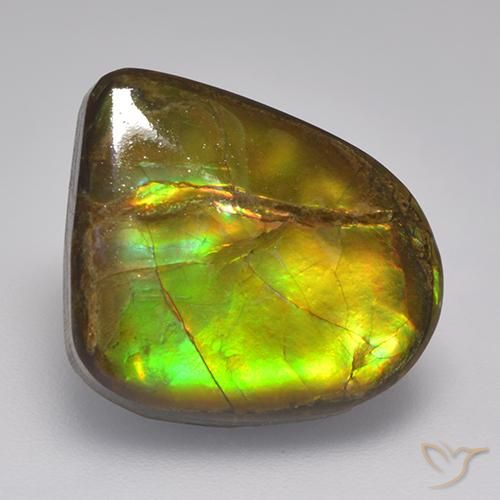 10.46ct Natural Multicolor Ammolite, Fancy, Opaque