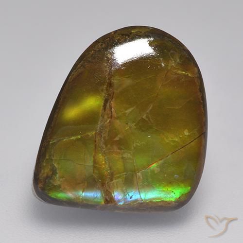10.46 ct Multicolor Ammolite Stone, Natural Ammolite in Fancy Cabochon Shape for Sale