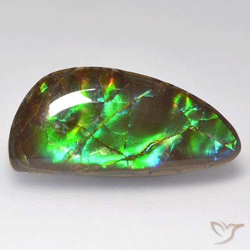 10.29ct Natural Multicolor Ammolite, Fancy, Opaque