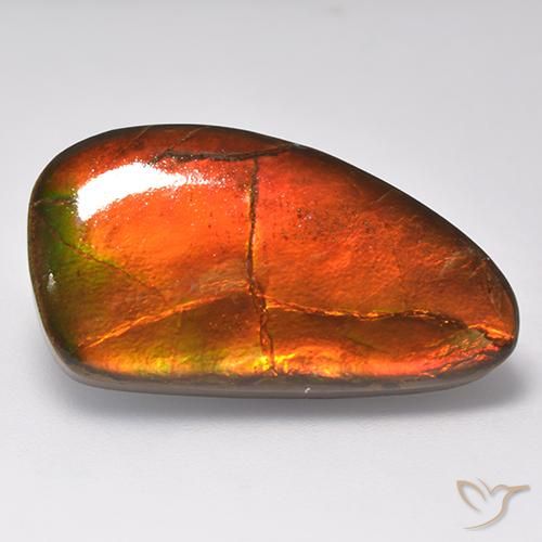 16.93ct Natural Multicolor Ammolite, Fancy, Opaque