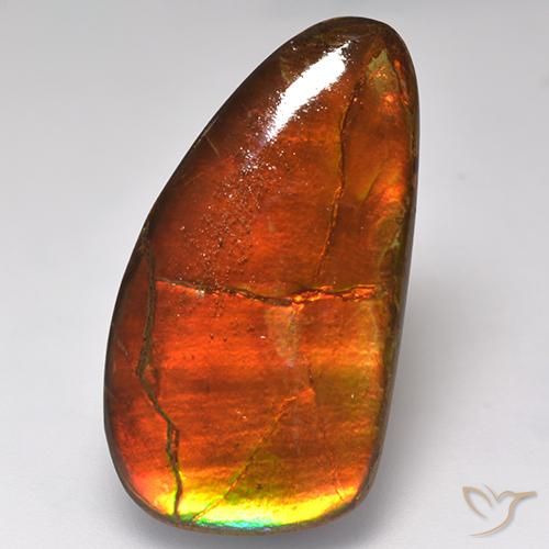 16.93 ct Multicolor Ammolite Stone, Natural Ammolite in Fancy Cabochon Shape for Sale