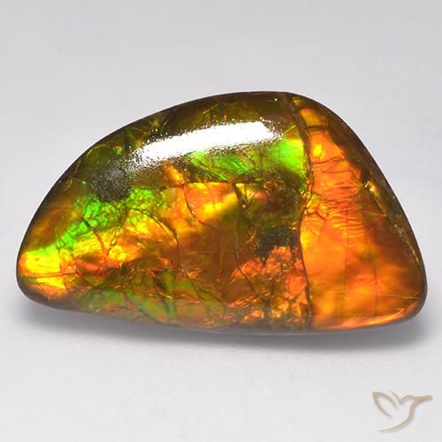 Multicolor Ammolite Gem - 14.9ct Fancy Cabochon (ID: 523393)