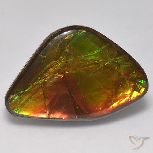 14.18ct Natural Multicolor Ammolite, Fancy, Opaque