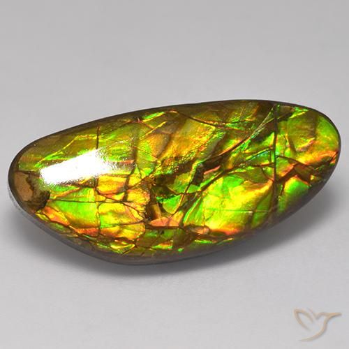 17.56ct Natural Multicolor Ammolite, Fancy, Opaque