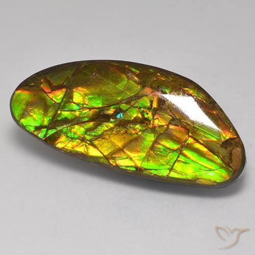 17.56 ct Multicolor Ammolite Stone, Natural Ammolite in Fancy Cabochon Shape for Sale