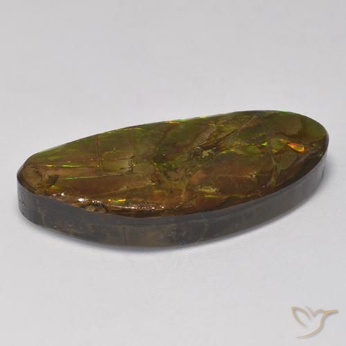 Ammolite Gemstone in 28.2 x 12.8 mm Size for Sale, Ammolite Stone in Multicolor Color