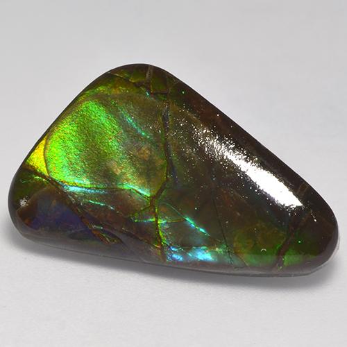 Multicolor Ammolite Gem - 14.4ct Fancy Cabochon (ID: 523399)