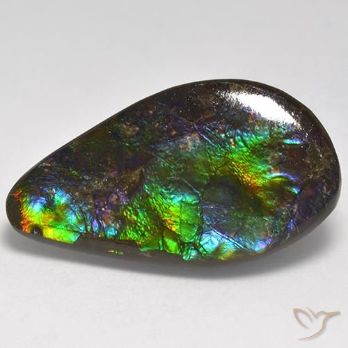18.05ct Natural Multicolor Ammolite, Fancy, Opaque