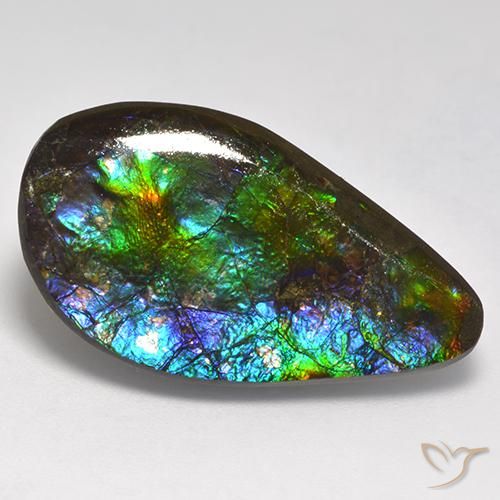 18.05 ct Multicolor Ammolite Stone, Natural Ammolite in Fancy Cabochon Shape for Sale