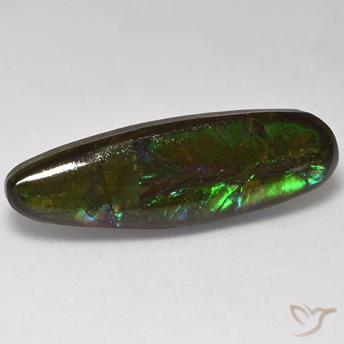 10.95ct Natural Multicolor Ammolite, Fancy, Opaque