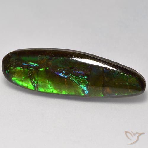 10.95 ct Multicolor Ammolite Stone, Natural Ammolite in Fancy Cabochon Shape for Sale