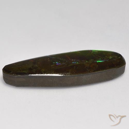Ammolite Gemstone in 28.3 x 8.8 mm Size for Sale, Ammolite Stone in Multicolor Color