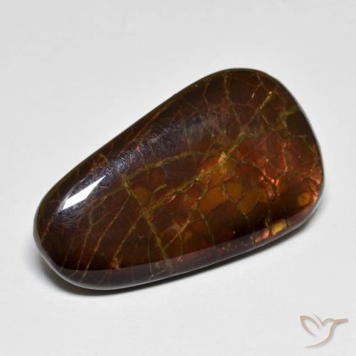 14.44 ct Multicolor Ammolite Stone, Natural Ammolite in Fancy Cabochon Shape for Sale