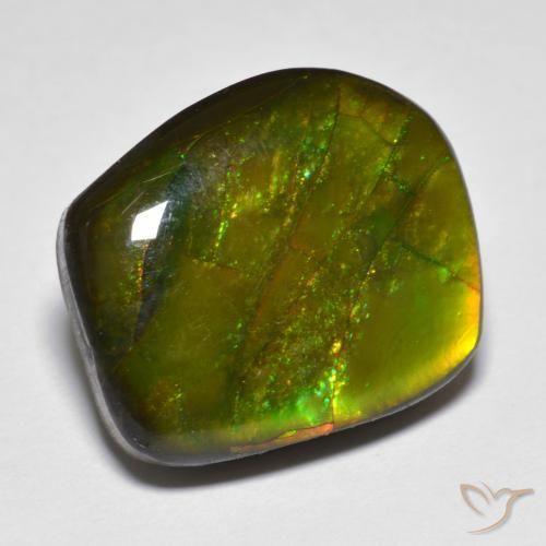 13.07ct Natural Multicolor Ammolite, Fancy, Opaque
