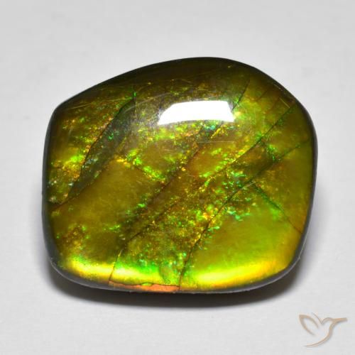 13.07 ct Multicolor Ammolite Stone, Natural Ammolite in Fancy Cabochon Shape for Sale