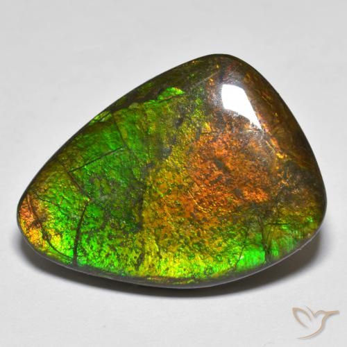 16.66ct Natural Multicolor Ammolite, Fancy, Opaque