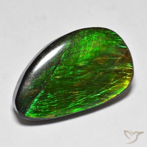 12.81 ct Multicolor Ammolite Stone, Natural Ammolite in Fancy Cabochon Shape for Sale