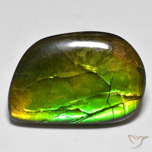 16.89ct Natural Multicolor Ammolite, Fancy, Opaque