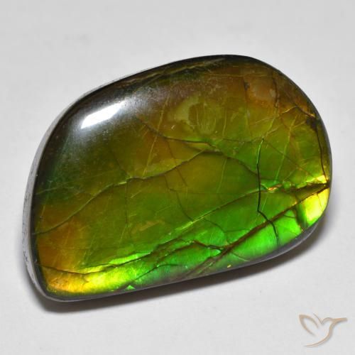 16.89 ct Multicolor Ammolite Stone, Natural Ammolite in Fancy Cabochon Shape for Sale