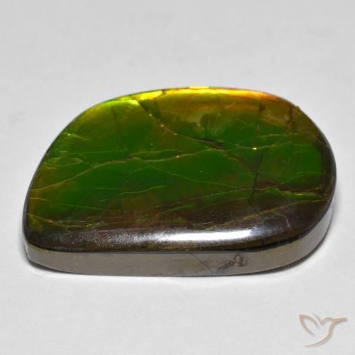 Ammolite Gemstone in 24.7 x 16.4 mm Size for Sale, Ammolite Stone in Multicolor Color