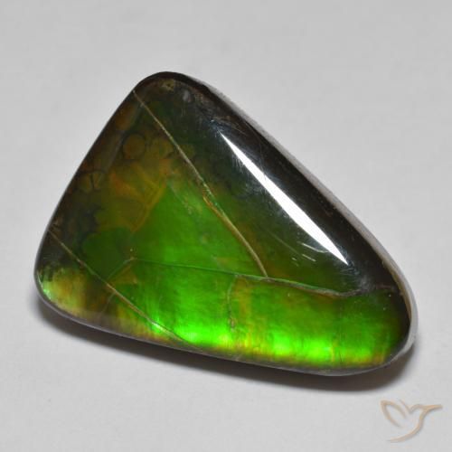 15.34 ct Multicolor Ammolite Stone, Natural Ammolite in Fancy Cabochon Shape for Sale