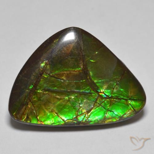 10.78 ct Fancy Ammolite, 24.4 x 14.7 mm From Canada, Photo A