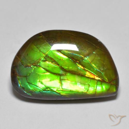 11.66 ct Fancy Ammolite, 21.1 x 13.8 mm From Canada, Photo A