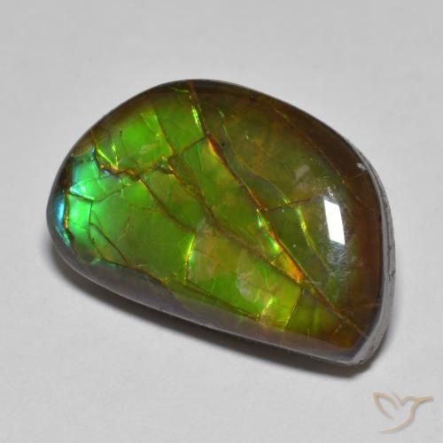 11.66 ct Multicolor Ammolite Stone, Natural Ammolite in Fancy Cabochon Shape for Sale