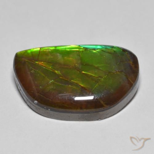 Ammolite Gemstone in 21.1 x 13.8 mm Size for Sale, Ammolite Stone in Multicolor Color