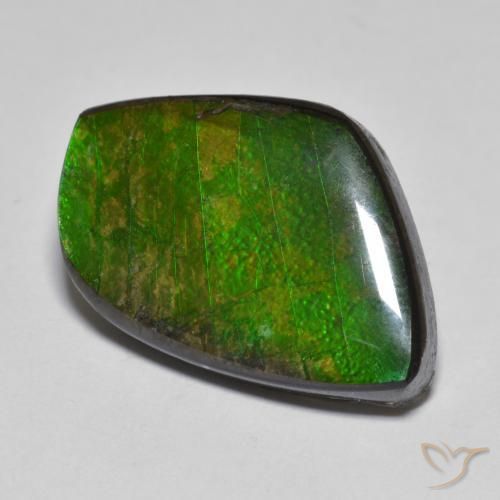 11.78 ct Multicolor Ammolite Stone, Natural Ammolite in Fancy Cabochon Shape for Sale