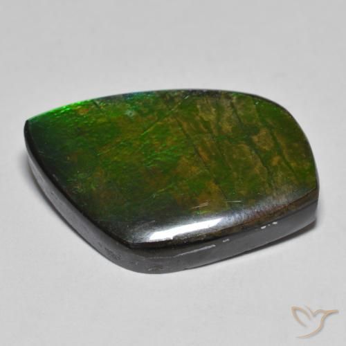 Ammolite Gemstone in 23.4 x 15.3 mm Size for Sale, Ammolite Stone in Multicolor Color