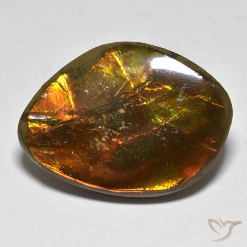 Ammolite Multicolore Fantaisie 25,1x18 mm du Canada, poids de 20,29 ct, pierre gemme naturelle assemblé de pureté Opaque , 1 pièce d'ammolite fancy cabochon, couleur : Multicolore, dureté de Mohs de 4 à 4, Photo A