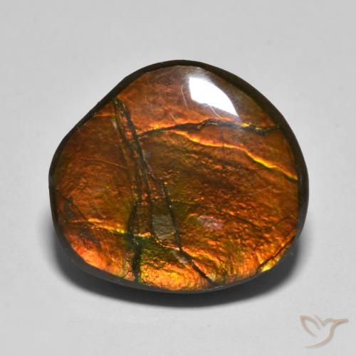 11.11 ct Fancy Ammolite, 16.1 x 14.8 mm From Canada, Photo A