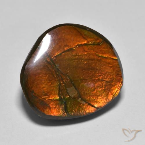 11.11 ct Multicolor Ammolite Stone, Natural Ammolite in Fancy Cabochon Shape for Sale