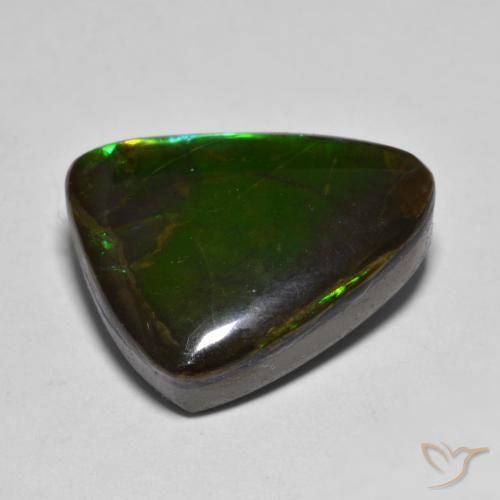 Ammolite Gemstone in 18.4 x 14.9 mm Size for Sale, Ammolite Stone in Multicolor Color