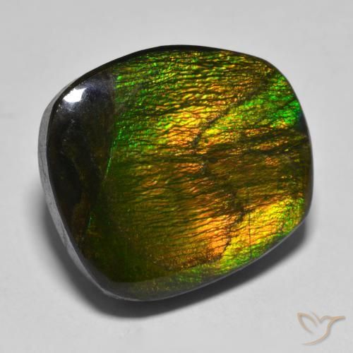 15.88 ct Multicolor Ammolite Stone, Natural Ammolite in Fancy Cabochon Shape for Sale