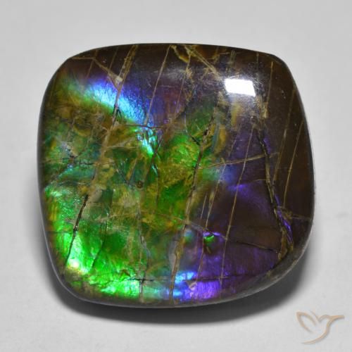 19.25ct Natural Multicolor Ammolite, Fancy, Opaque
