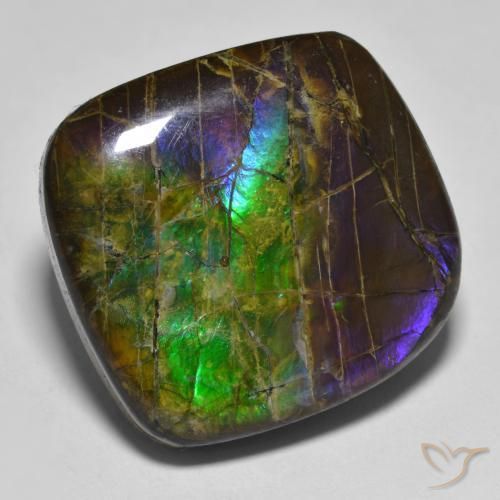19.25 ct Multicolor Ammolite Stone, Natural Ammolite in Fancy Cabochon Shape for Sale